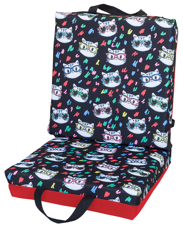 Cats with Glasses Double Cushion